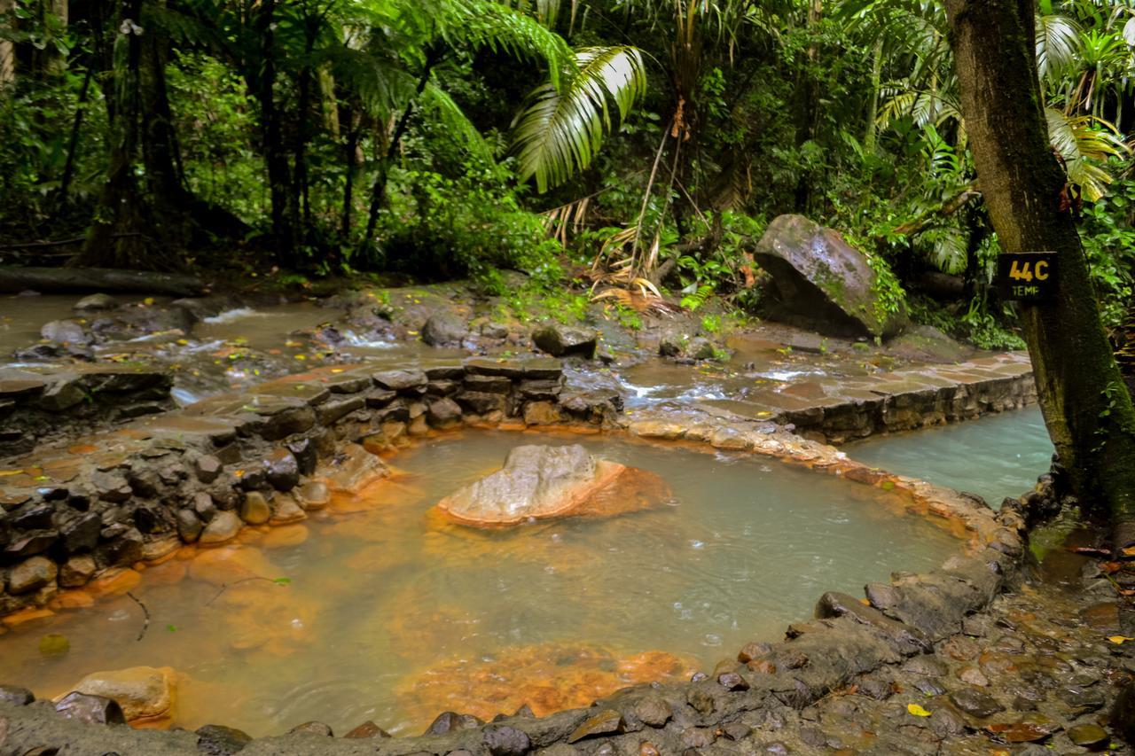 Termales Del Bosque & Hot Springs Otel La Marina Dış mekan fotoğraf