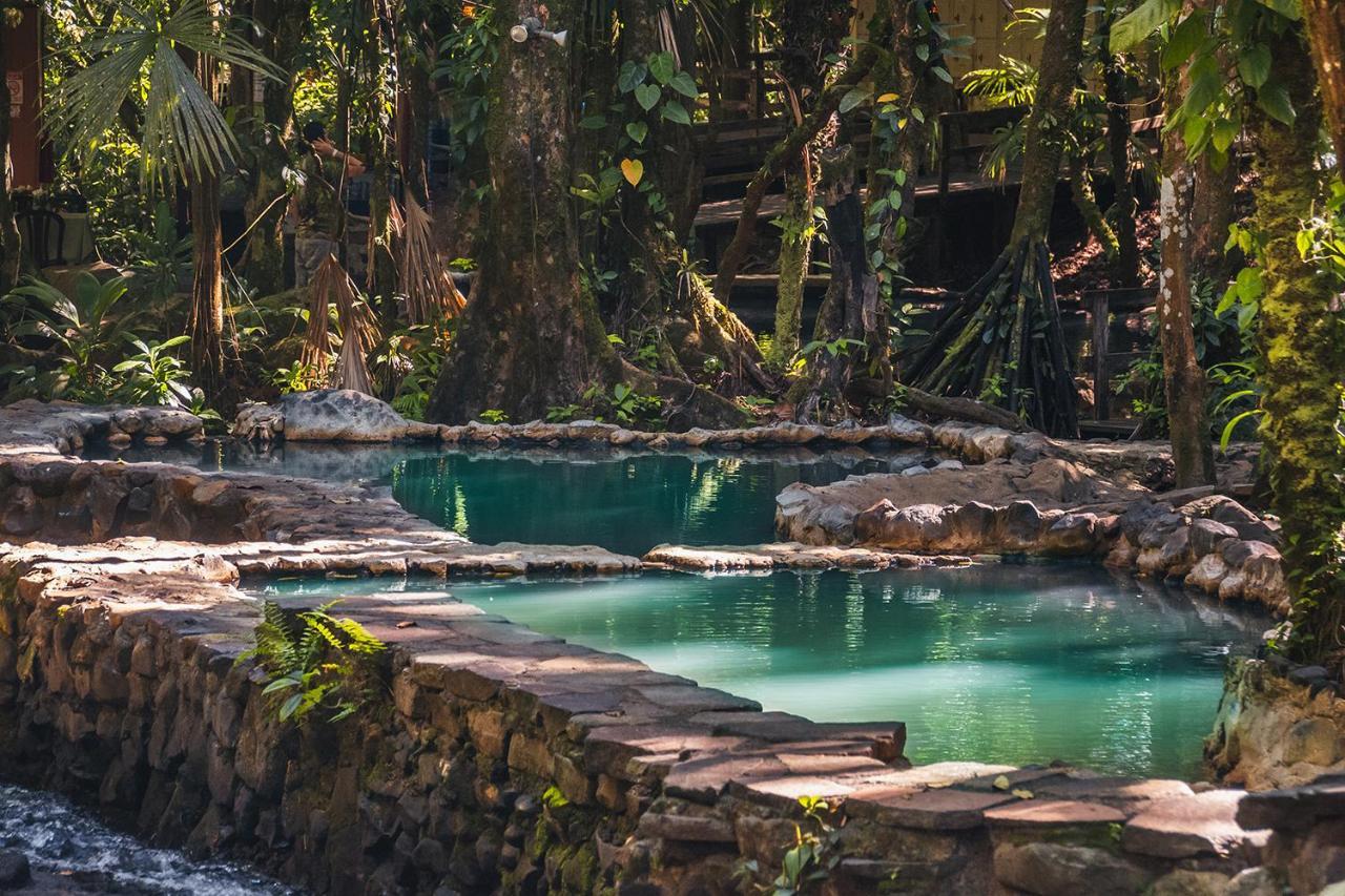 Termales Del Bosque & Hot Springs Otel La Marina Dış mekan fotoğraf