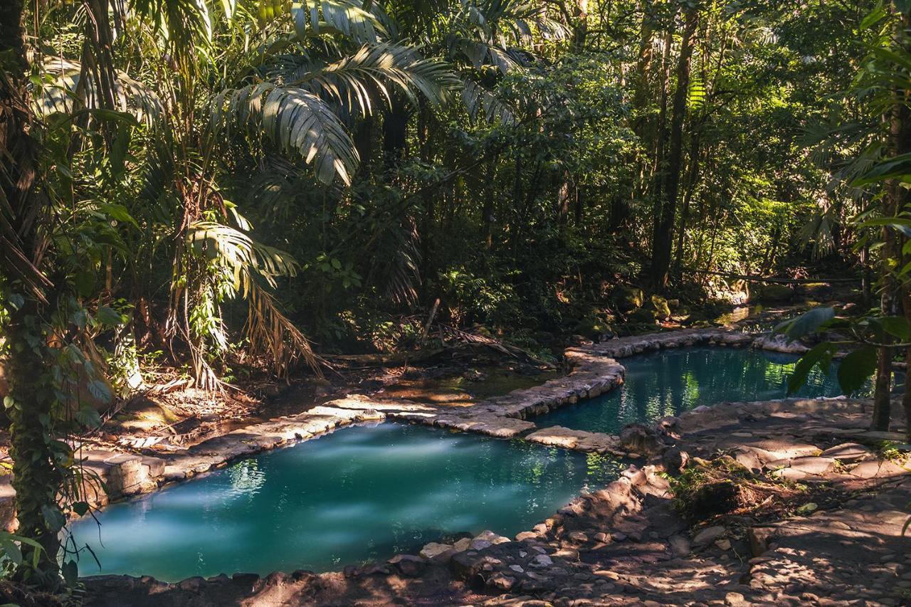 Termales Del Bosque & Hot Springs Otel La Marina Dış mekan fotoğraf